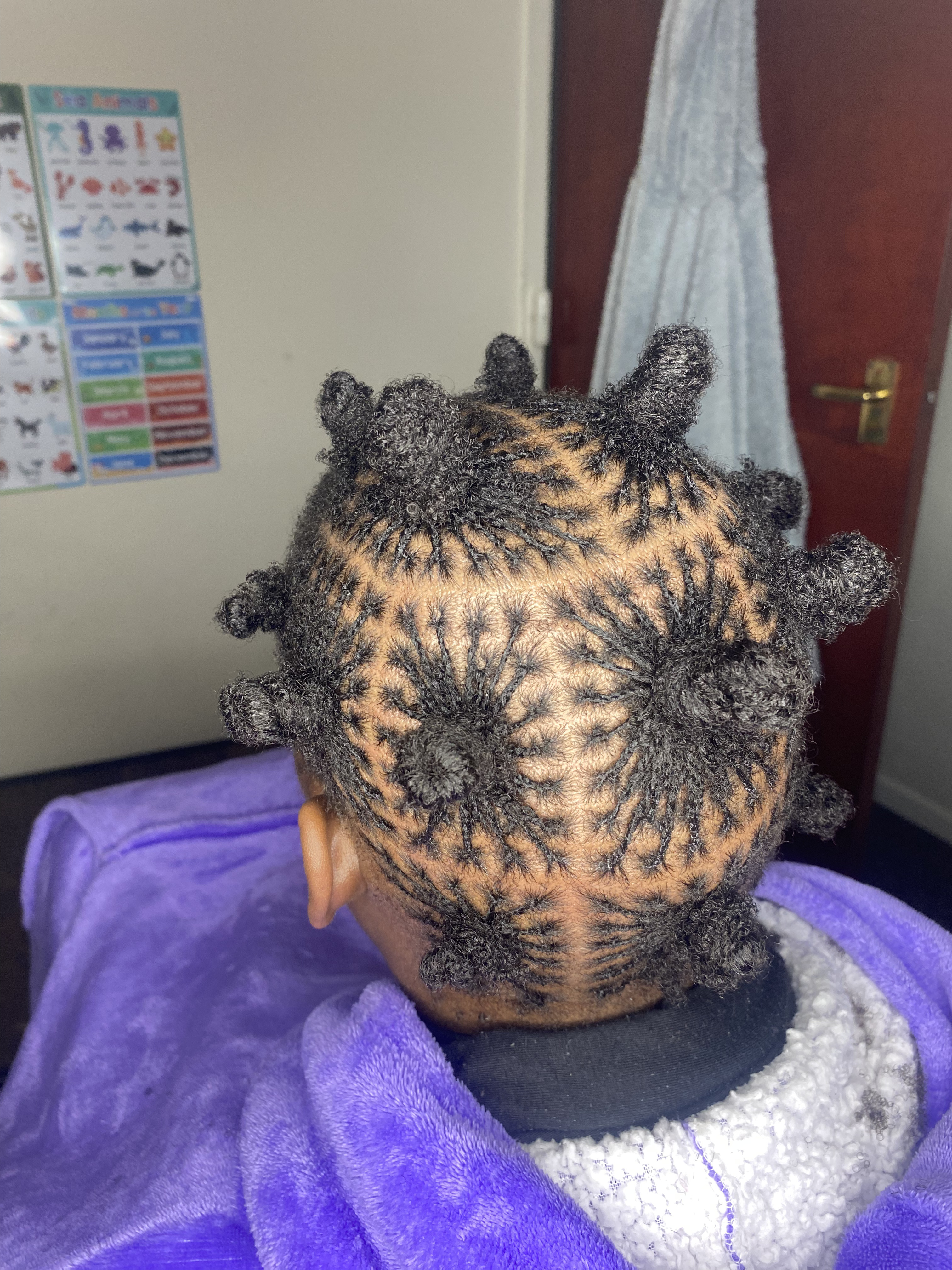 Micro Twist 5